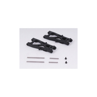 BSD RR. SUSP. ARM - BS709-020