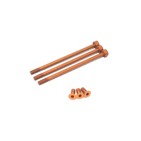 MUCH MORE FLETA ZX V2 CASE AND TIMING CAP ALU SCREW SET - MR-FZV2ASO