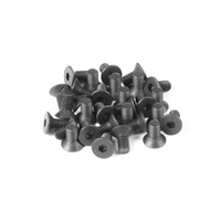 XRAY HEX SCREW SET FOR T1 30 - XY309320