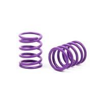 XRAY SPRING-SET D=1.7 30.5 LB - XY338184