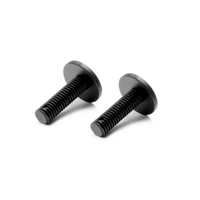 XRAY COMPOSITE REAR BODY HOLDER SCREW - MEDIUM (2) - XY341360-M