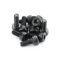 XRAY HEX SCREW SOCKET HEAD CAP M2.5x6  (10)