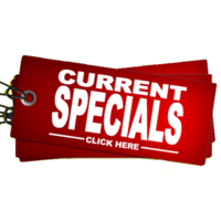 WEB SPECIALS!